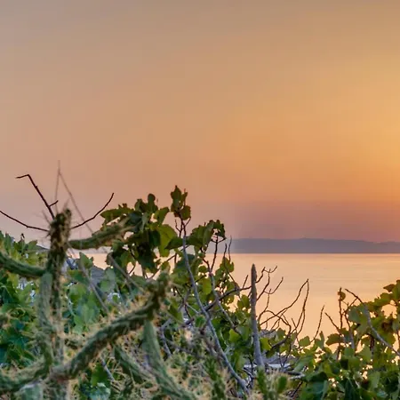 Vakantiehuis Cactus Guesthouse, συρος Kini