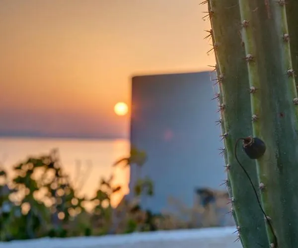 Cactus Guesthouse, συρος