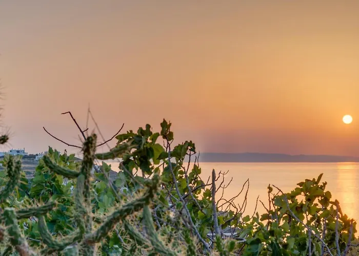 펜션 Cactus Guesthouse, συρος 키니언