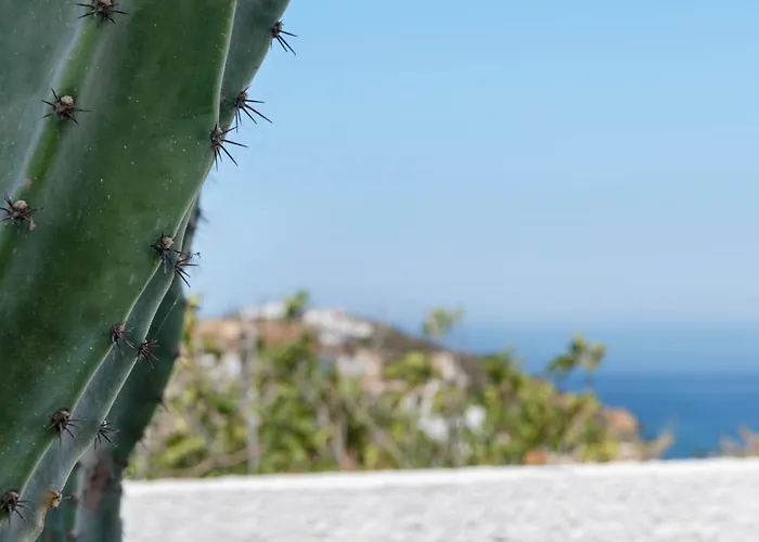 Cactus Guesthouse, συρος 펜션