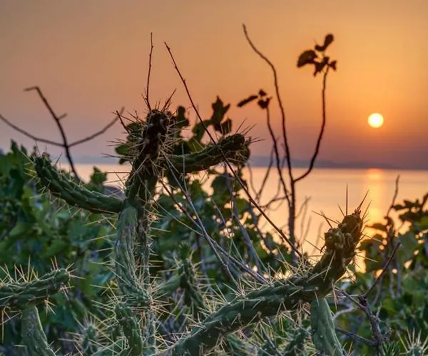 펜션 Cactus Guesthouse, συρος 키니언