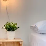 Cactus Guesthouse, συρος 키니언