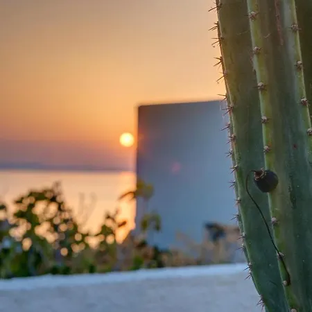 Cactus Guesthouse, συρος