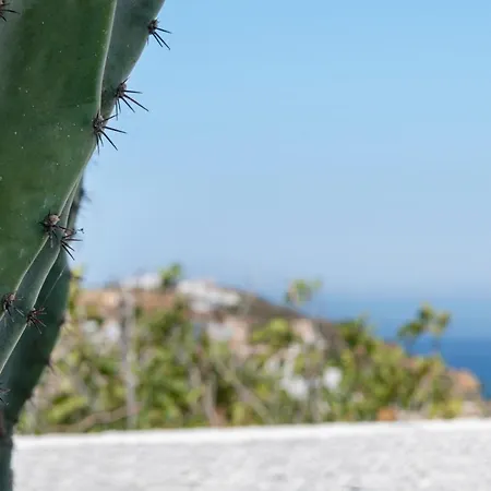 Cactus Guesthouse, συρος בית נופש